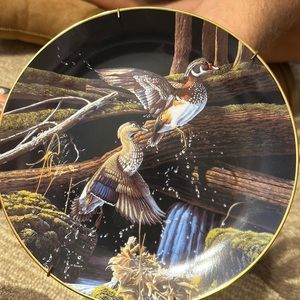 Knowles Skyward plate